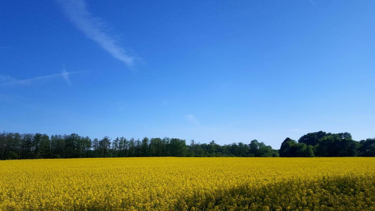 Ferienwohnung Finja In Putgarten, Kap Arkona Ruegen Dış mekan fotoğraf