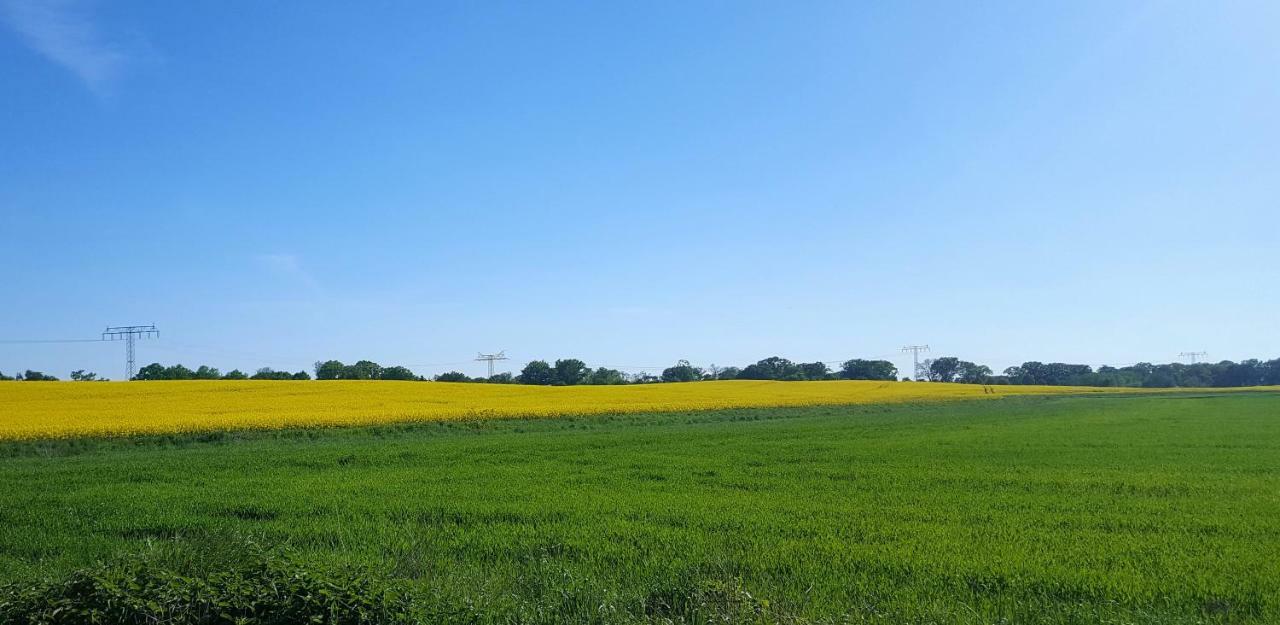 Ferienwohnung Finja In Putgarten, Kap Arkona Ruegen Dış mekan fotoğraf